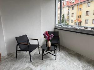 due sedie e un tavolo con un vaso di fiori di Drahan Apartment 14 a Radom