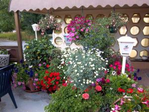 Zahrada ubytování Hotel & Pension Aßmann