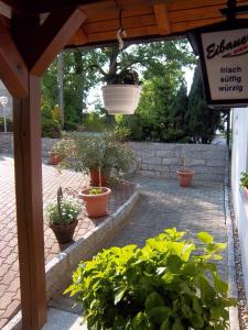 Zahrada ubytování Hotel & Pension Aßmann