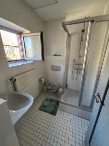 a bathroom with a shower and a sink and a toilet at Ferienwohnung am Flughafen in Braunschweig +10 photos