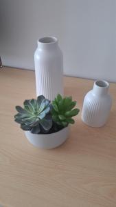 Fotografie z fotogalerie ubytování Apartment Casa 48 - Milan v Miláně