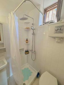 a small bathroom with a shower and a toilet at Το σπίτι του Καντήλα in Leonidion