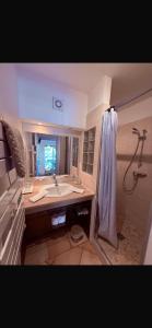un bagno con lavandino e doccia di Le Mas des Amandiers a Saint-Paul-de-Vence Altre 42 foto