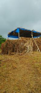 Gallery image of house gio in Sakhalvasho