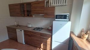 a kitchen with a refrigerator and a microwave on top of it at Cozy Duo in Zduńska Wola