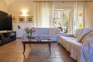 a living room with a blue couch and a coffee table at Olas y olivos in Akrotiri