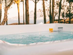 a swimming pool with trees in the background at Olas y olivos in Akrotiri
