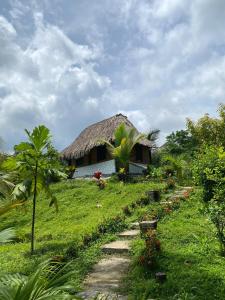 a small house with a grass roof on a field at Eco Hotel Amanecer Tayrona in El Zaino