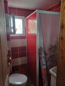 Φωτογραφία από το άλμπουμ του Zlatiborska noć στο Ζλάτιμπορ +9 φωτογραφίες