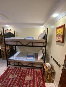 two bunk beds in a room with a rug at hostel SmiGle in Tamraght Oufella