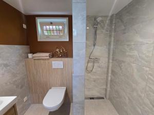 a bathroom with a shower and a toilet and a sink at B&B De Vretberg in Enschede +20 photos
