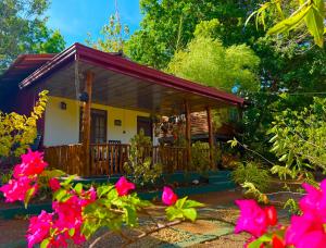 Vườn quanh La Casa Safari Resort