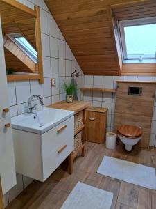 ein Badezimmer mit Waschbecken und Toilette in der Unterkunft Ciurkówka in Sieniawa + 29 Fotos