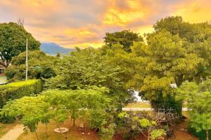 a group of trees with a sunset in the background at Apartamentos cerca a canchas Panamericanas Barrio Olimpico - Luxury Apartments in Cali