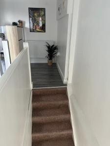 ロンドンにあるA vibrant placeの植物のあるキッチンに続く階段
