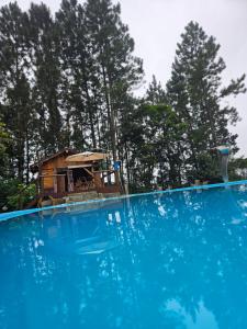 ein großer Swimmingpool mit einem Haus im Hintergrund in der Unterkunft Cabana Vita Bella in Nova Trento