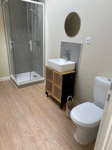 a bathroom with a shower and a toilet and a sink at Appartement cosy gare chateaucreux in Saint-Étienne