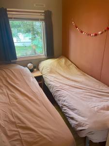 two beds in a room with a window at Casa Elixa prachtige stacaravan met heerlijke overkapping in Eext