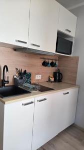 Η κουζίνα ή μικρή κουζίνα στο Mikroapartament Gamma Dyrekcyjna Wrocław