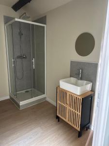 a bathroom with a sink and a shower at Appartement 2 chambres gare chateaucreux in Saint-Étienne