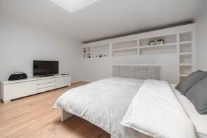 Μια τηλεόραση ή/και κέντρο ψυχαγωγίας στο Large apartment in the center of Warsaw by P&M