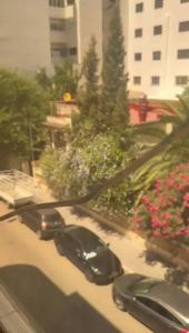 Κήπος έξω από το Rue Gibraltar