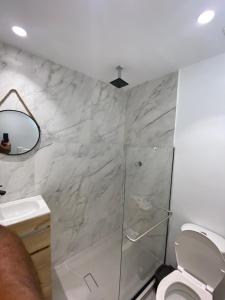a bathroom with a shower and a toilet at La perla central Sai 2 in San Andrés