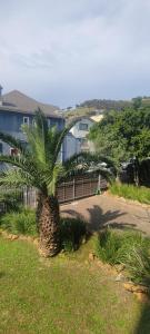 Una palmera sentada en el césped junto a un camino de entrada. en Cascades apartments, en Ciudad del Cabo 5 fotos más