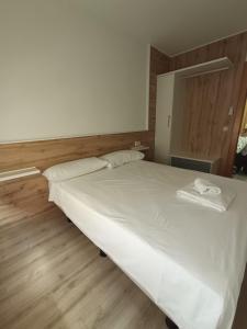 阿尔巴塞特Precioso Apartamento centrico con 2 dormitorios的卧室里有一张床，床上放着两条毛巾。