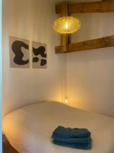 a bedroom with a bed with a light and a lamp at Entre bourg et plage, climatisé, grande terrasse, WIFI, parking gratuit, linge et ménage compris in Mimizan