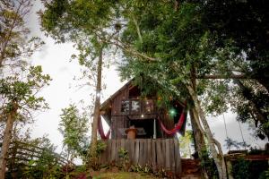 a tree house in the middle of the forest at Chalé dos Alves in Morro Azul