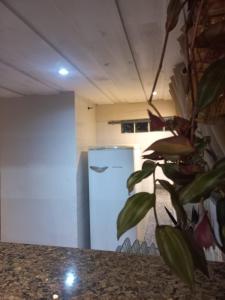 Η κουζίνα ή μικρή κουζίνα στο Casa do Centro - Refúgio Colonial +20 φωτογραφίες