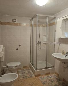a bathroom with a shower and a toilet and a sink at Apartmani Gracijela in Karlobag +45 photos