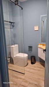 a bathroom with a toilet and a glass shower at Bakuriani Raimondo rezidence in Kokotauri +3 photos