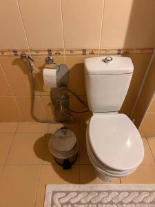 a bathroom with a toilet and a roll of toilet paper at BAHAR APART in Ayder Yaylasi +29 photos