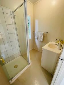 ein Badezimmer mit Dusche und Waschbecken in der Unterkunft Mango Grove Cottage in Rarotonga
