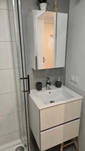 Ένα μπάνιο στο Mikroapartament Gamma Dyrekcyjna Wrocław