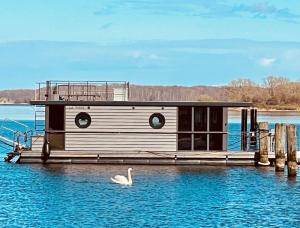 a swan in the water in front of a boat at Hausboot Hafenprinz Lübeck in Brodten