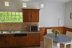 a kitchen with a sink and a table with a microwave at Maison confortable avec 3 chambres et jardin clos, idéale familles et curistes à Salies-de-Béarn in Salies-de-Béarn