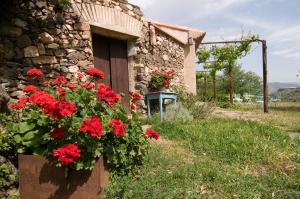 a flower box with red flowers in front of a building at Mas Ardevol PT106 in Porrera