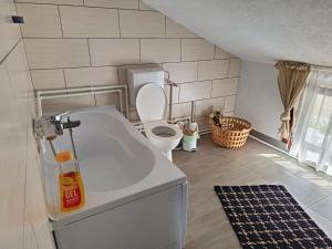 Ένα μπάνιο στο H2O GuestHouse Chalet Malaia +19 φωτογραφίες