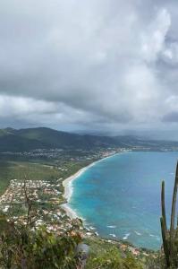 a view of a beach and the ocean at Studio between Sea and Mountain in Le Diamant +1 photo