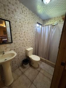 Alto BoqueteにあるLegado Residenceのトイレ、洗面台、シャワー付きのバスルーム