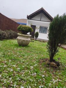 a yard with a large pot with a plant in it at Hotel Pousada Estalagem Floradas da Serra in São Joaquim