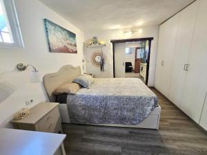 una camera da letto con un letto grande in una stanza di Apartamentos Medano - Casa Playa a El Médano