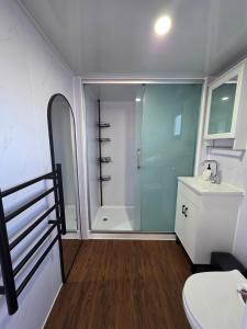 a bathroom with a shower and a toilet and a sink at Modern studio overlooking Alexandra, Central Otago in Alexandra