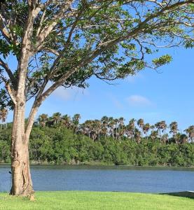 Gallery image of Beira do rio com píer e piscina in Barreirinhas +41 photos