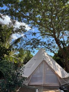a white tent is sitting under a tree at Island Glamping at Nanumi Au Eco Village in Rakiraki