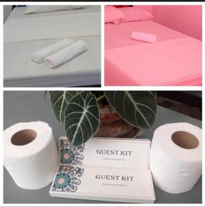 a collage of photos with toilet paper and a guest hit at elisatransienthouse in Labac