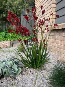 Fotografie z fotogalerie ubytování Salty Soul Bungalow - Sauna! v destinaci Bicheno